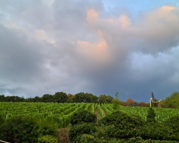 Weingut Schleimer